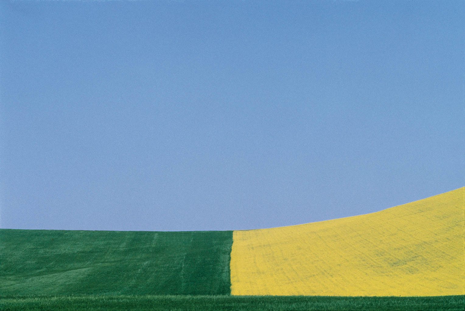 Lucania, 1975 © Franco Fontana – Courtesy Baudoin Lebon