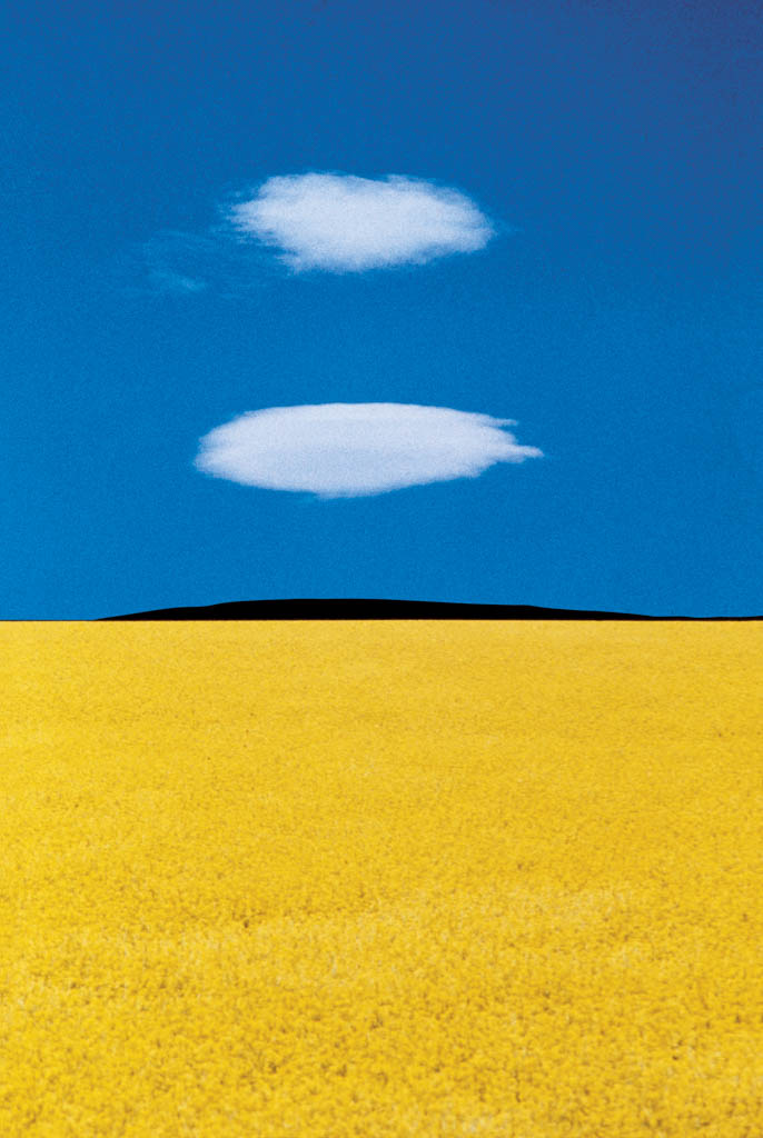 Puglia, 1978 © Franco Fontana – Courtesy Baudoin Lebon