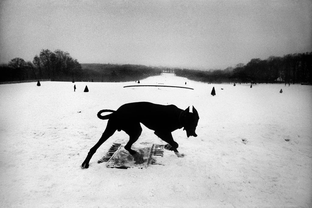 France, 1987, épreuve gélatino-argentique 50,6 x 60,6 cm 
    	  			Collection Centre Pompidou, Paris 
							Don du Jeu de Paume, avec le soutien de Magnum en 2013. 
							Ancienne collection du Centre National de la Photographie.
							© Josef Koudelka / Magnum Photos 
							© Centre Pompidou / Dist. RMN-GP