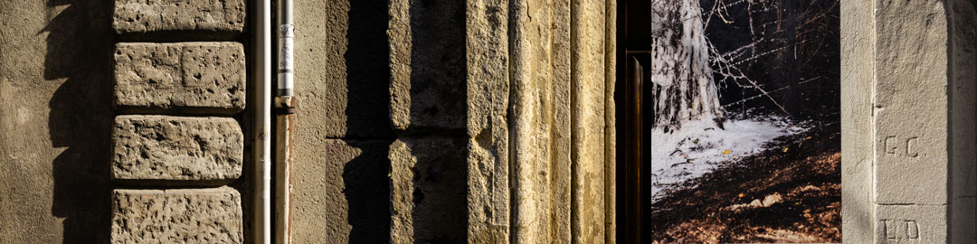 Triptyque ADN des rues, Arles, 2019, © Luc Litzler