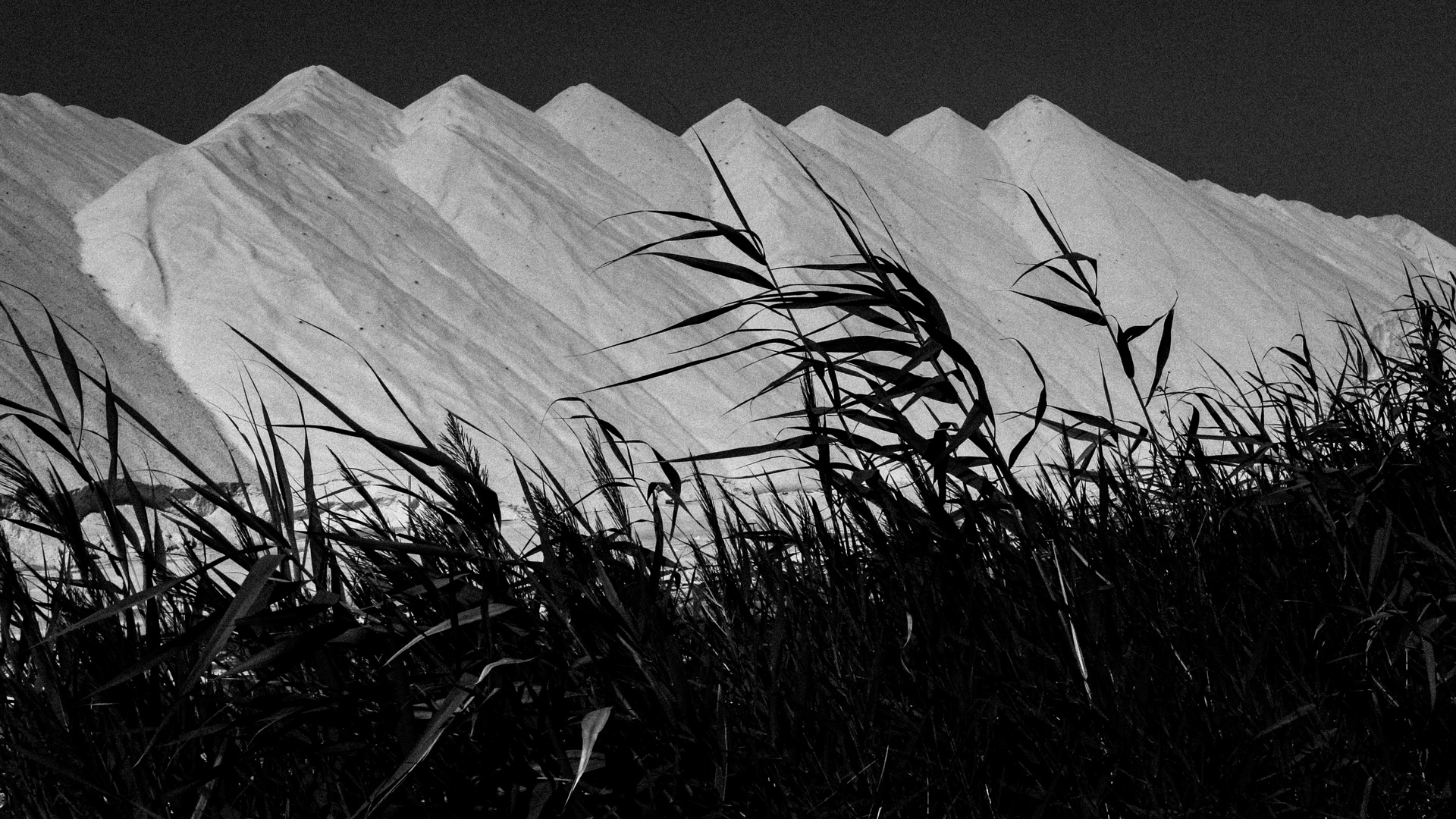 Salin de Giraud, Arles, 2005, © Luc Litzler