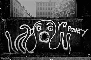 graffiti - lyon, © Luc Litzler