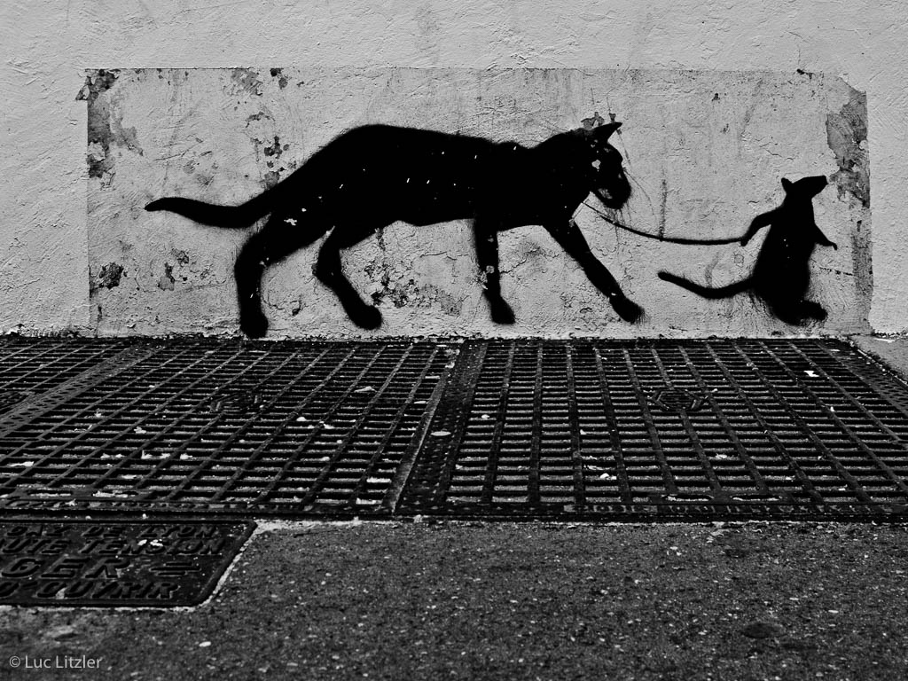 Graffiti 02, Lyon, 2010, © Luc Litzler