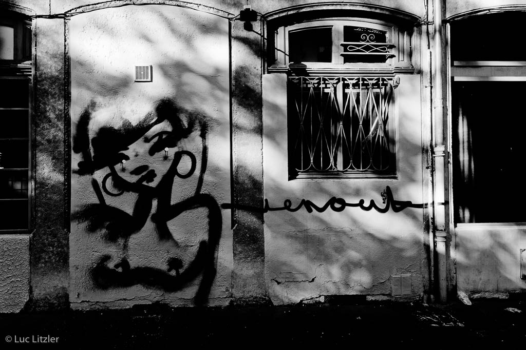 Graffiti 09, Lyon, 2010, © Luc Litzler