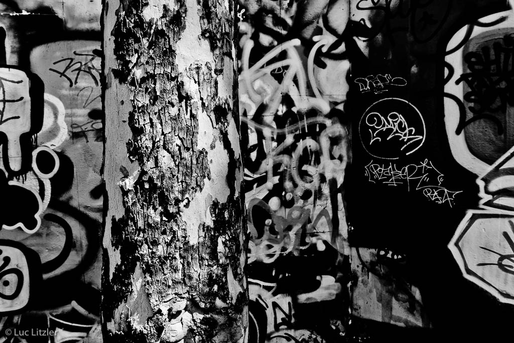Graffiti 10, Lyon, 2010, © Luc Litzler