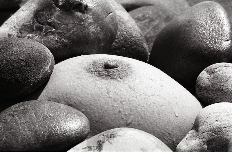 nu fémimin sur les plages de Camargue #8, 2004, © Luc Litzler