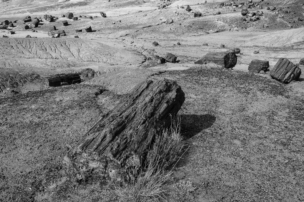 Petrified-Forest National Park, Arizona, 2014, © Luc Litzler