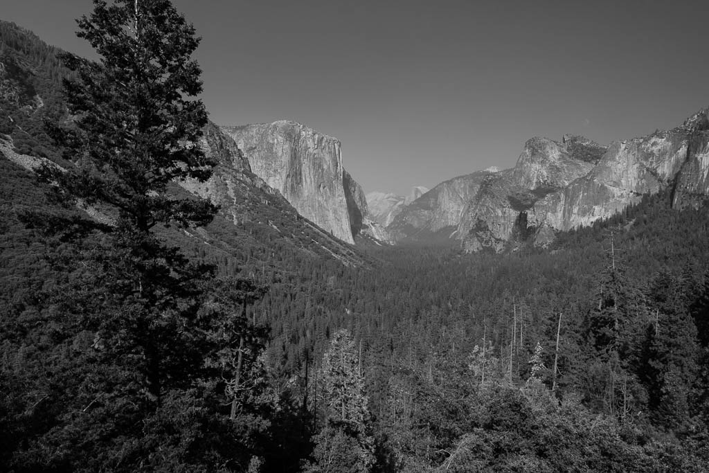 Yosemite National Park, California, 2013, © Luc Litzler